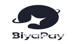 TPAPP下载安装指南： 破解